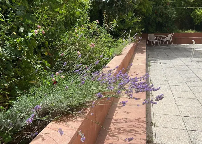 Residencia Universitaria Pare ClaretHostal